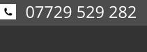 07729 529 282
